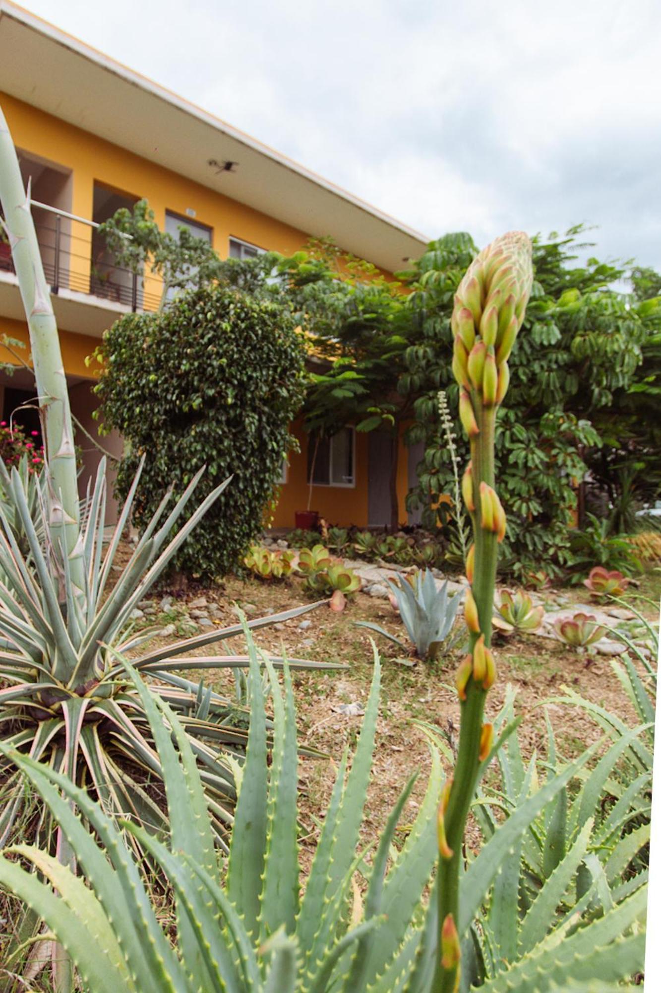 Hotel Guiva San Pablo Hacienda Blanca Eksteriør billede